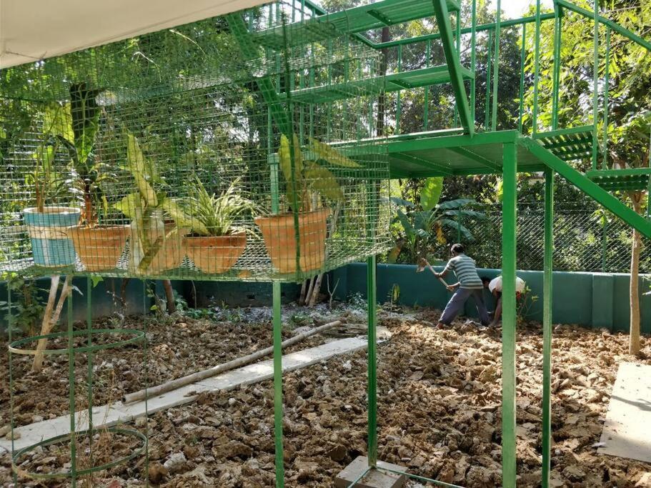 Bhitey Homestay Simantapally / Shantiniketan 外观 照片